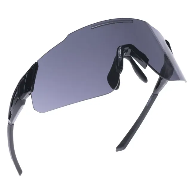 Γυαλιά Corsa Black Frame Smoke Lens  Oxford SU006