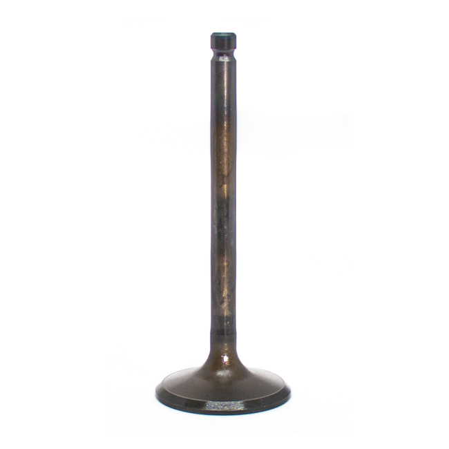 Βαλβίδα Εισαγωγής XT 600 Japan